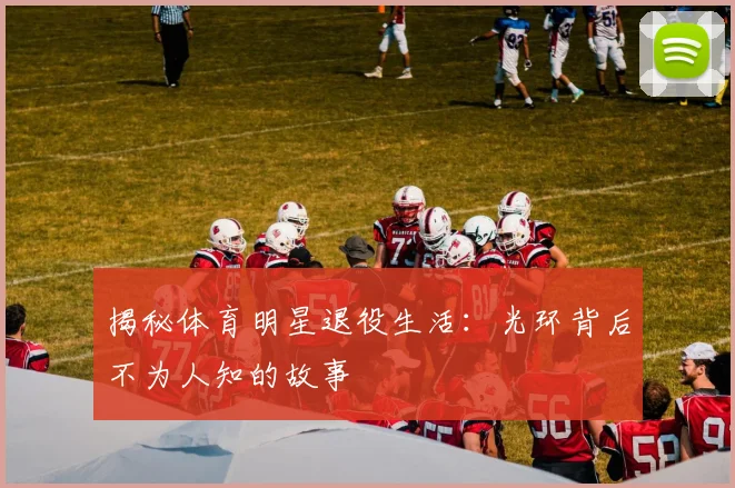 揭秘体育明星退役生活：光环背后不为人知的故事